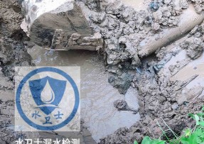 高邑水管漏水检测公司5
